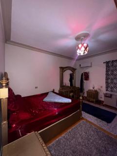Nasr City Modern Apartment - El Cairo - 2