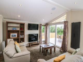 Plas Marchog Lodge - 8