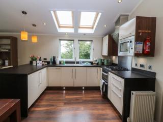 Plas Marchog Lodge - 1