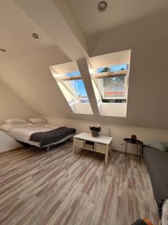Apartmán Bílé Karpaty - 9