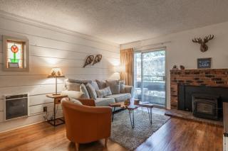 Cozy Cabin-Style Condo in Central Location - 9