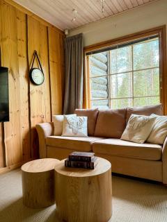 Silver Lodge - Luosto - 1