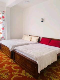 Cool Palace - Nuwara Eliya - 5