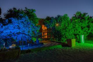Asbn Magic Garden - ‘Akko - 0