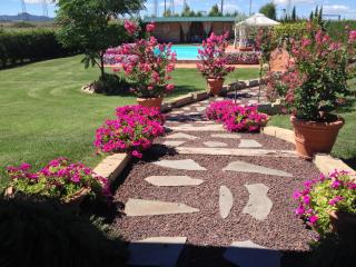 Agriturismo "Le Rondinelle" - Valiano - 4