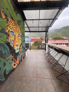 La Terraza Orgánica - 6