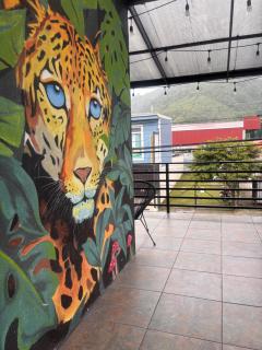 La Terraza Orgánica - 9
