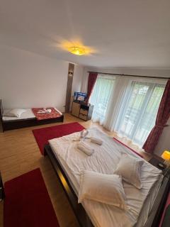Hotel boutique Garden Resort by Brancoveanu - 8