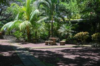 Beach-Front Bungalow - 5