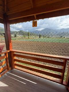 Villa Pincho - 2