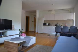 Golden Goose Apartment - 3