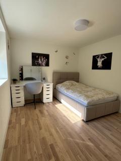 Spacious Luxury Villa in Copenhagen - 4
