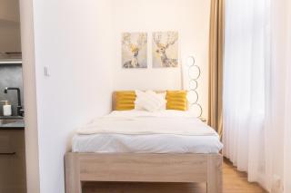 Bright & Cozy 2BR - Central Karlovy Vary - 1