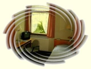 Hotel Luginsland - Schleiz - 9