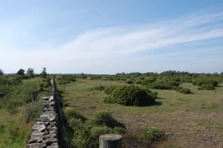 Allégården Kastlösa Hotell - 1