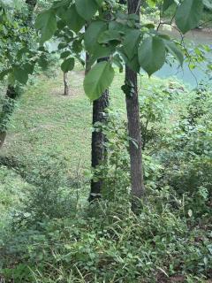 Goose Hollow at Sugar Creek for biking and hiking - 0