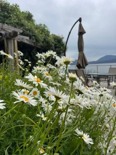 Whales house - 5