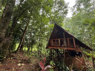Entire Jungle Chalet Playa Ganadito - 1