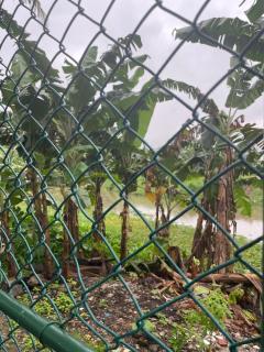 Lush Residencies - Nawala - Diyawanna Lakefront - Brand New - Luxury - 1