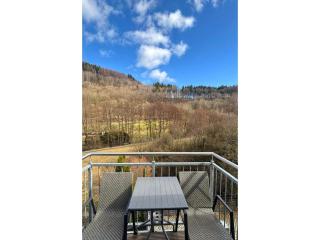 moderne Wohnung in Willingen - 4