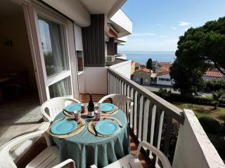 Appartement au Racou à 100m de la plage avec piscine et parking - FR-1-732-7 - 2