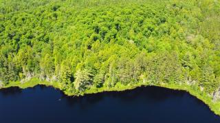 Spacious Lodge Madawaska Ideal for GroupsTrails - 1
