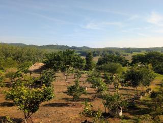 Loei Valley Farm Stay - 7