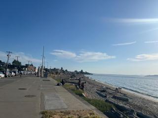 Alki Beach Retreat - 3