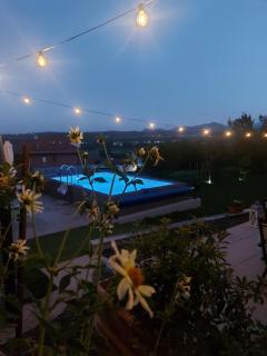 Casa dell'Agrifoglio - 8
