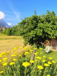 Tra prati e monti - Dolomiti Bellunesi - 8
