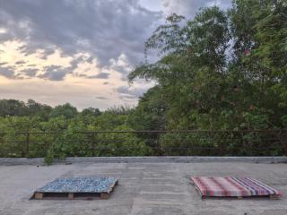 Junction Box Forest Hostel - 5