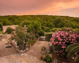 Secret Garden House - Near Jaz - Trsteno - 9