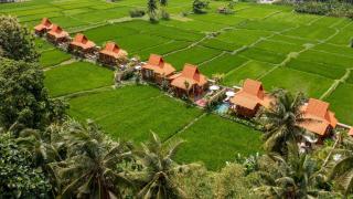Ubud Wooden Pool Villa with Floating Breakfast - 6
