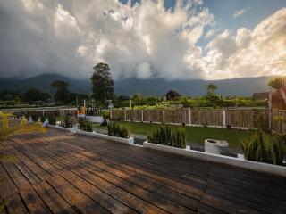 Glamour camping bedugul - 9
