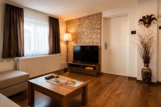 Vasilija Apartment - Cozy, quiet with terrace & spa near Novi Sad, Sremski Karlovci - 7