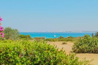 Masseria Pizzo - 0