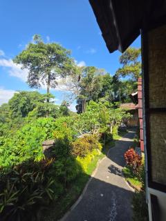 Edem Bungalows Cafe - 8