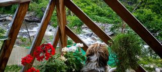 Satyasha Farmstay - 1