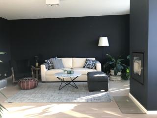 Moderne enebolig, sentralt - 2