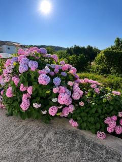Dimitris house - 7