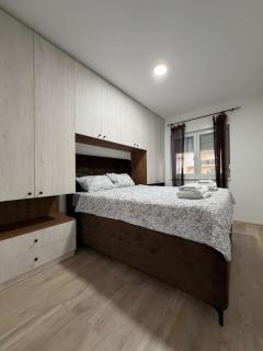 Vasiljević Apartmani Koviljača - 3
