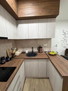 Vasiljević Apartmani Koviljača - 1