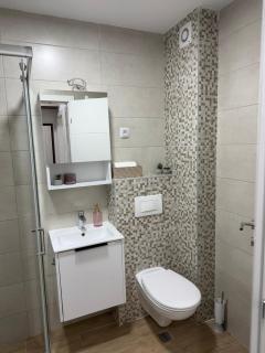 Vasiljević Apartmani Koviljača 1 - 9