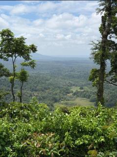 Coorg Misty Mountains Stay - 9
