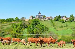 Gîte authentique avec piscine en Aveyron - 4