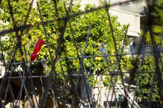 Arcobaleno B&B - San Benedetto del Tronto - 3