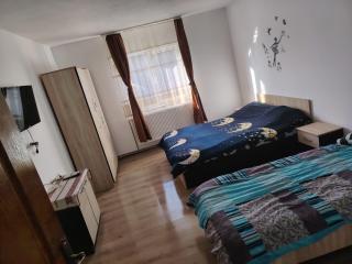 Pensiunea Alex&Andry - 1