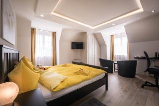 Max Aviation Villa & Apartments - Berne - 5