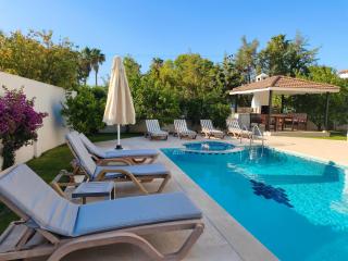 Dalyan Villa Parna - 5