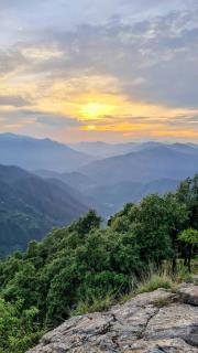 Himtal Cottage - 5